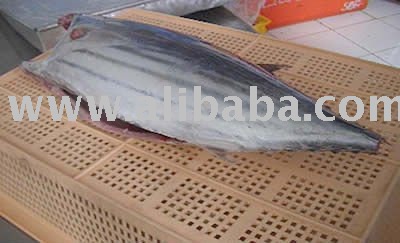 Frozen HGT Skipjack Tuna