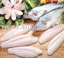 Pangasius Hypophthalmus (Basa Fish)
