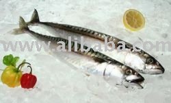 Qaulity Frozen Mackerel Fish And Other Seafoods