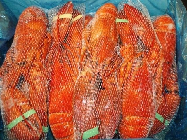 Whole  Cooked   Lobster s