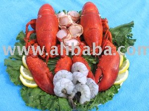 Live Lobster