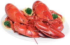 Lobster