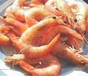 HIGH GRADE LOBSTER OIL AVAILABLE