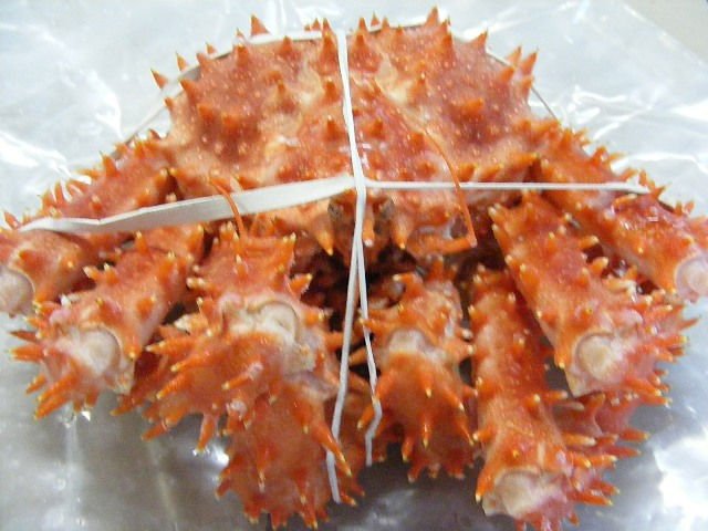 Whole Chilean King Crab, gutted, precooked, frozen IQF.
