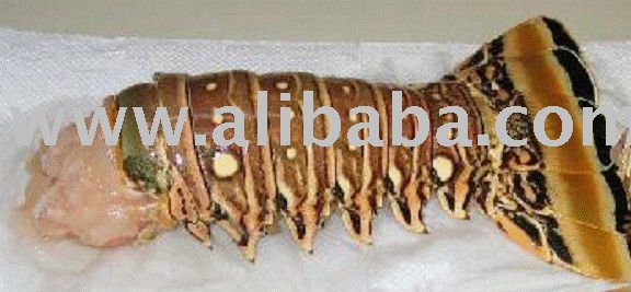 LOBSTER TAILS