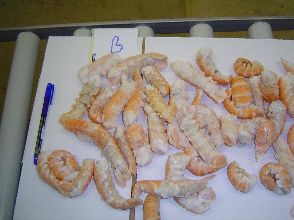 Lobster Tails (Nephrops Norvegicus),Iceland Price Supplier - 21food