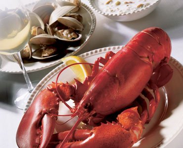 Live  Main e Lobster