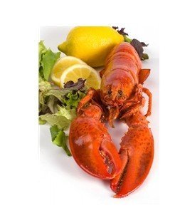 Select 1-1/2lb Maine Lobsters