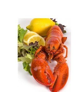 Large - 2lb Maine Lobsters