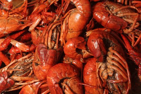 frozen cooked whole crawfish/crayfish