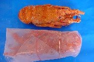 Cooked Lobster