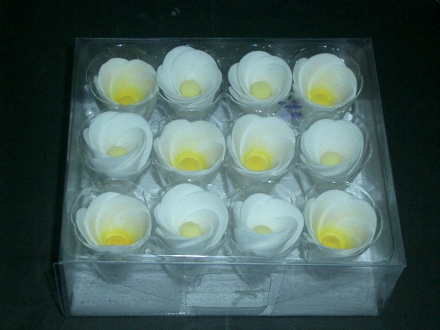 Cake toppersFrangipani 12 Pcs.