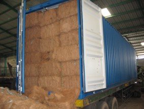 Coir  Mattress  Fiber
