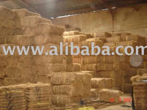 Coconut coir