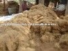 coconut coir fiber