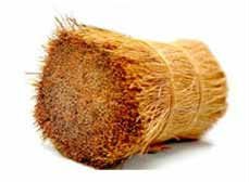 Coconut Bristle Fibre / FIber for Brush products,Sri Lanka Coconut ...