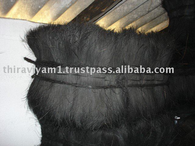Bristle Coir Fibre