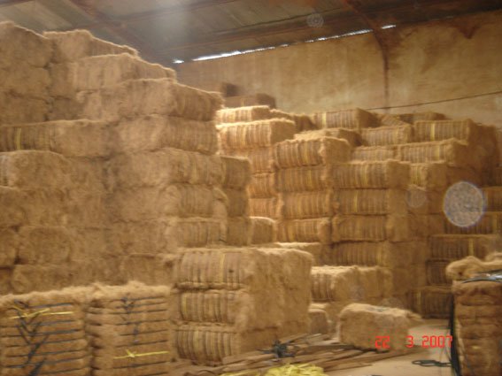  Coco   coir  fibre