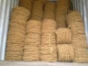 coir fiber
