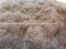 Fiber Coconut