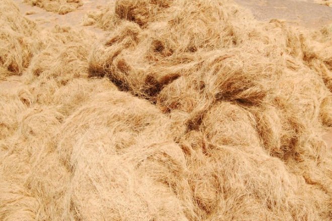 coconut coir