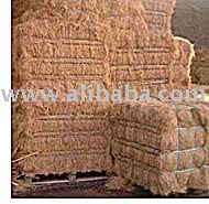 coco coir