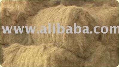 High Quality Coco Coir