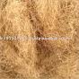 coconut coir pith