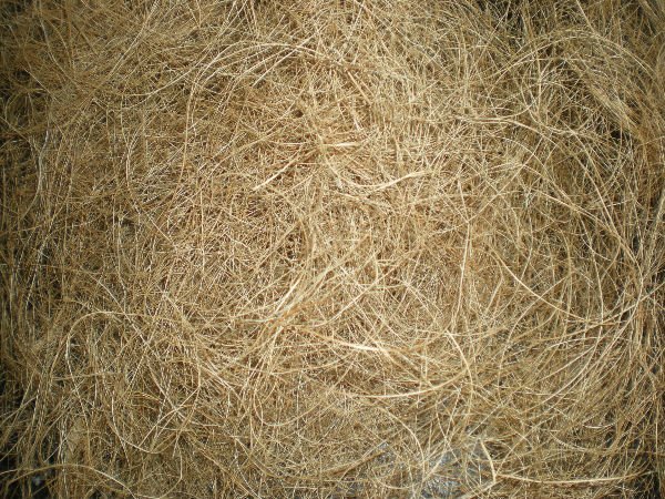  coir   products  srilanka