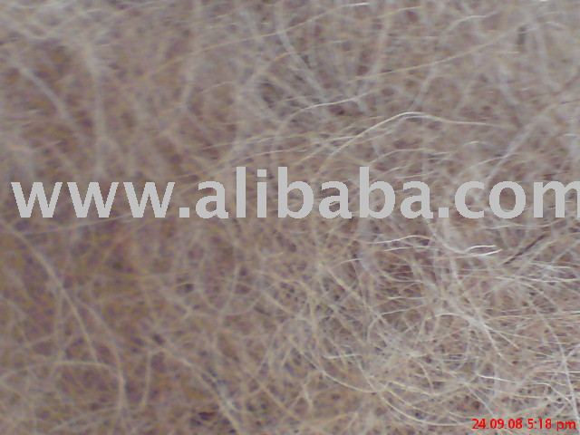 Cocos nucifera (coconut) fibres