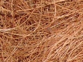 COIR CUT FIBER (BABY FIBRES)