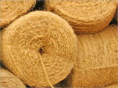 Coco Coir
