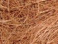 coconut  Coir   Fibre 