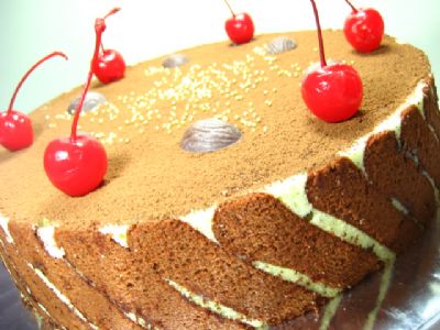 Hazelnut Chocolate Mousse Cake