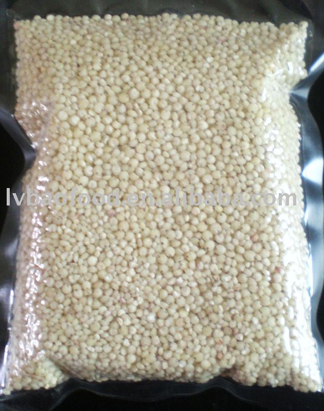 White sorghum