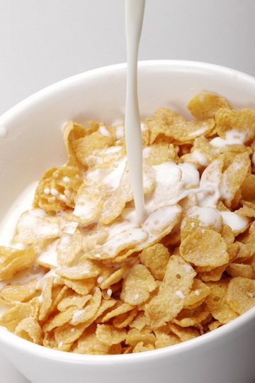 Breakfast Cereal products,Malaysia Breakfast Cereal supplier