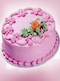 Regular Cakes - Sensation