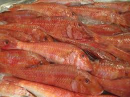Frozen Red Mullet