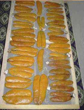  ROE   FISH 