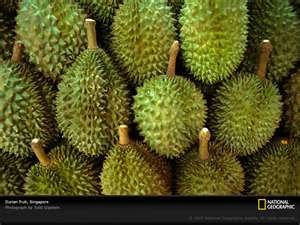 Durian