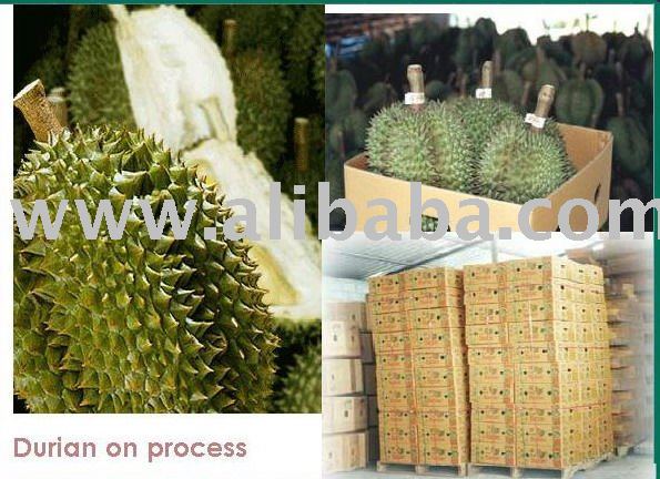  Thai  Fresh  Durian 