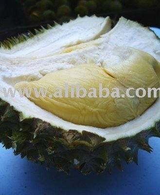 Durian monthong    fruit