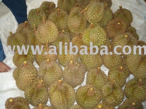 Durian fresh