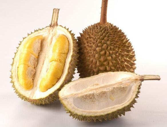 durian-malaysia-price-supplier-21food