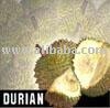 Durian Fruit durio Zybethinus