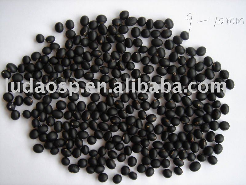 Black soybean (Japan)