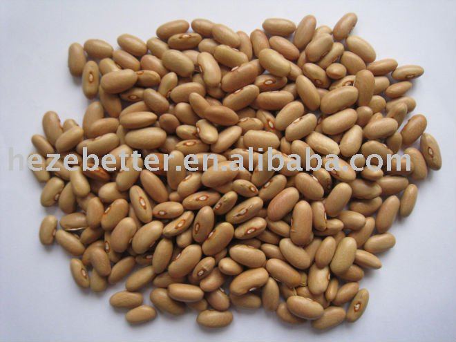 Yellow Kidney Beans