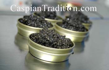 Farmed Caviar (From France, Italia And Germany)