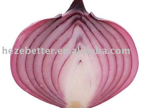 Fresh Yellow and Red Onion