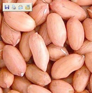 peanuts in shell from china